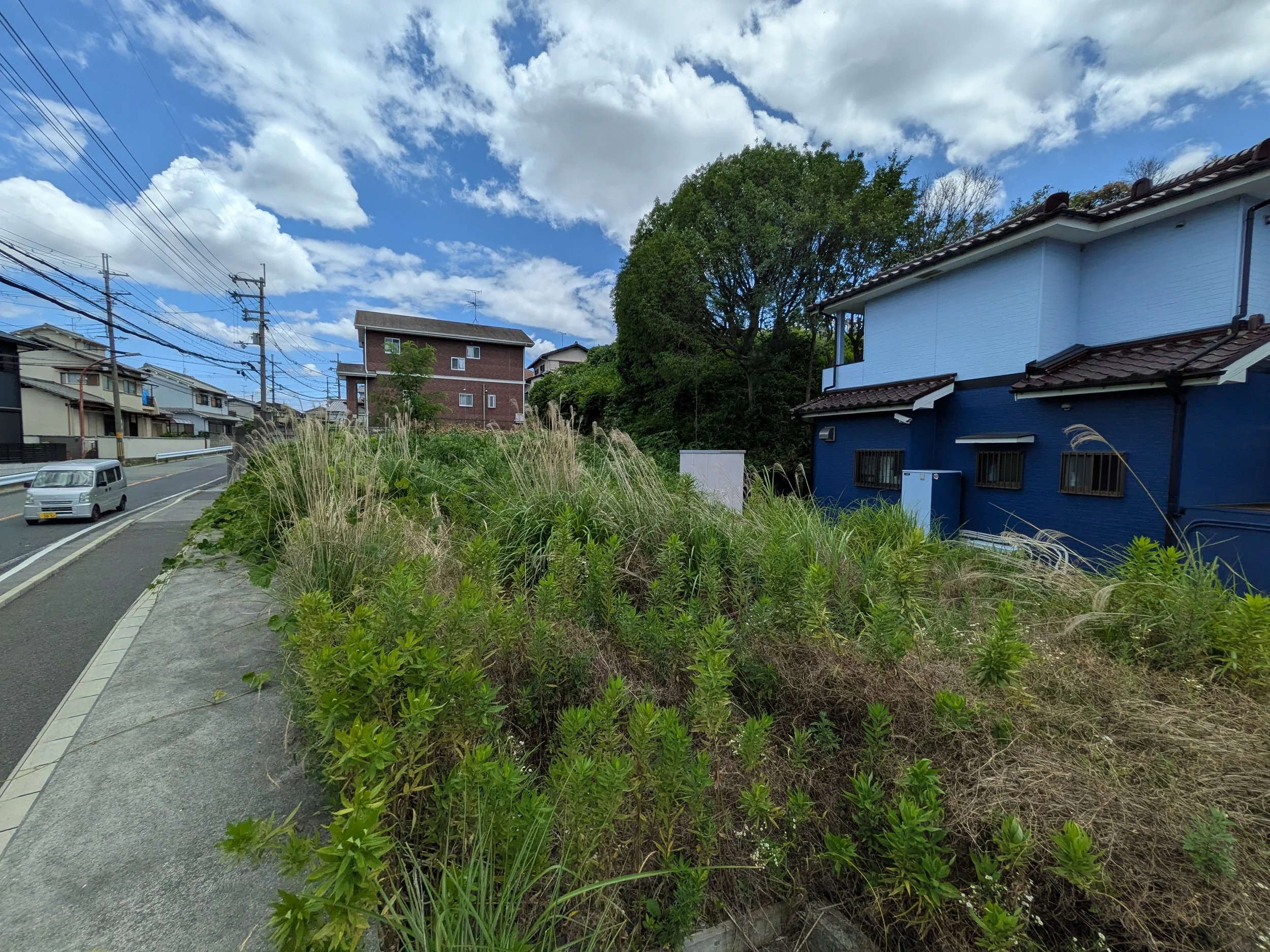 PXL_20250710_034325385.jpg