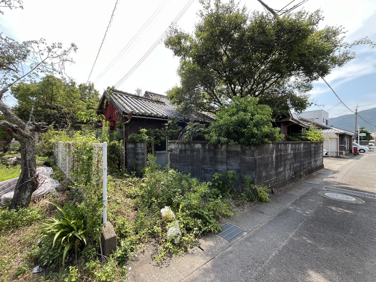 S__47120420_0.jpg