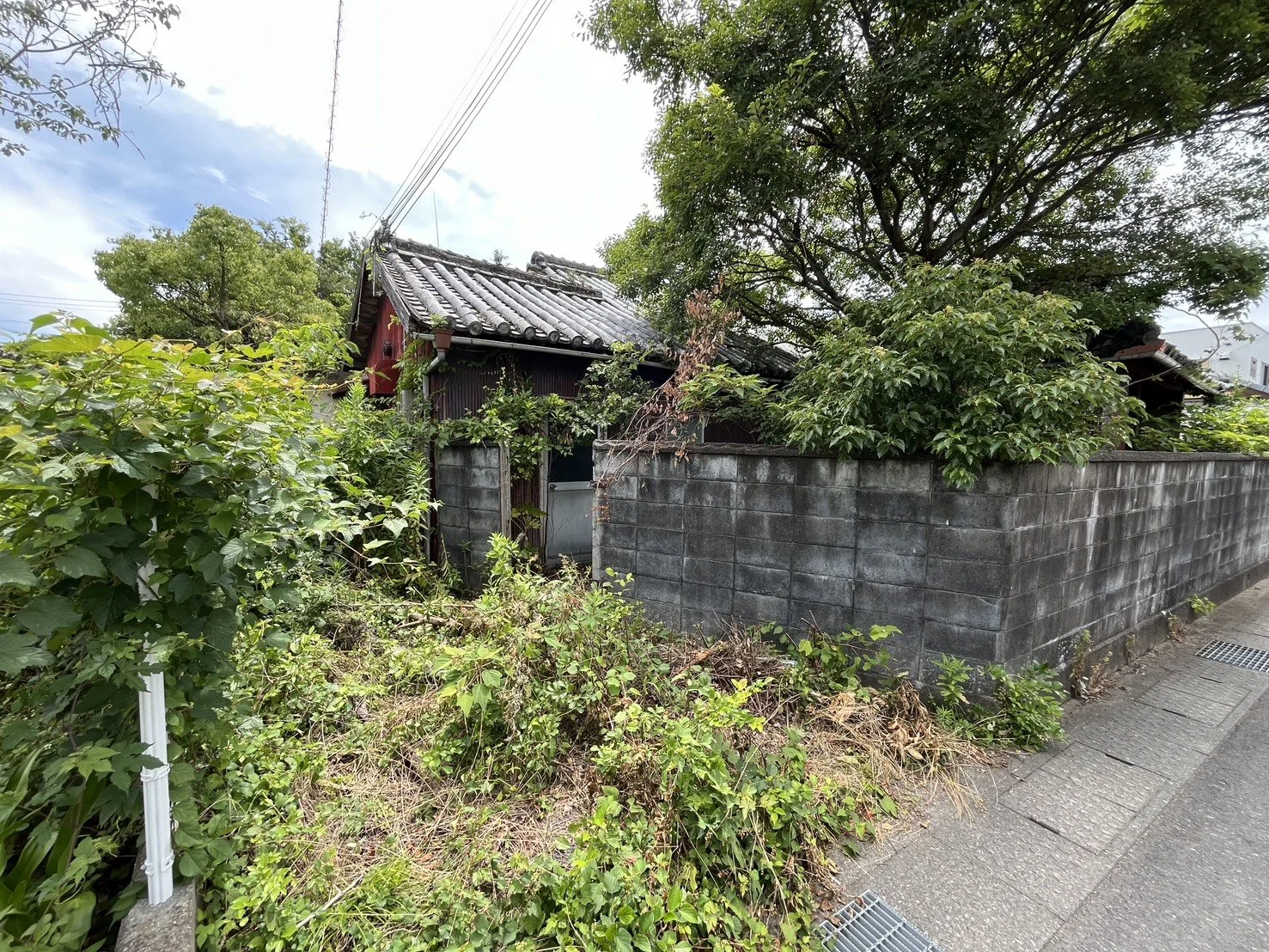 S__47120435_0.jpg