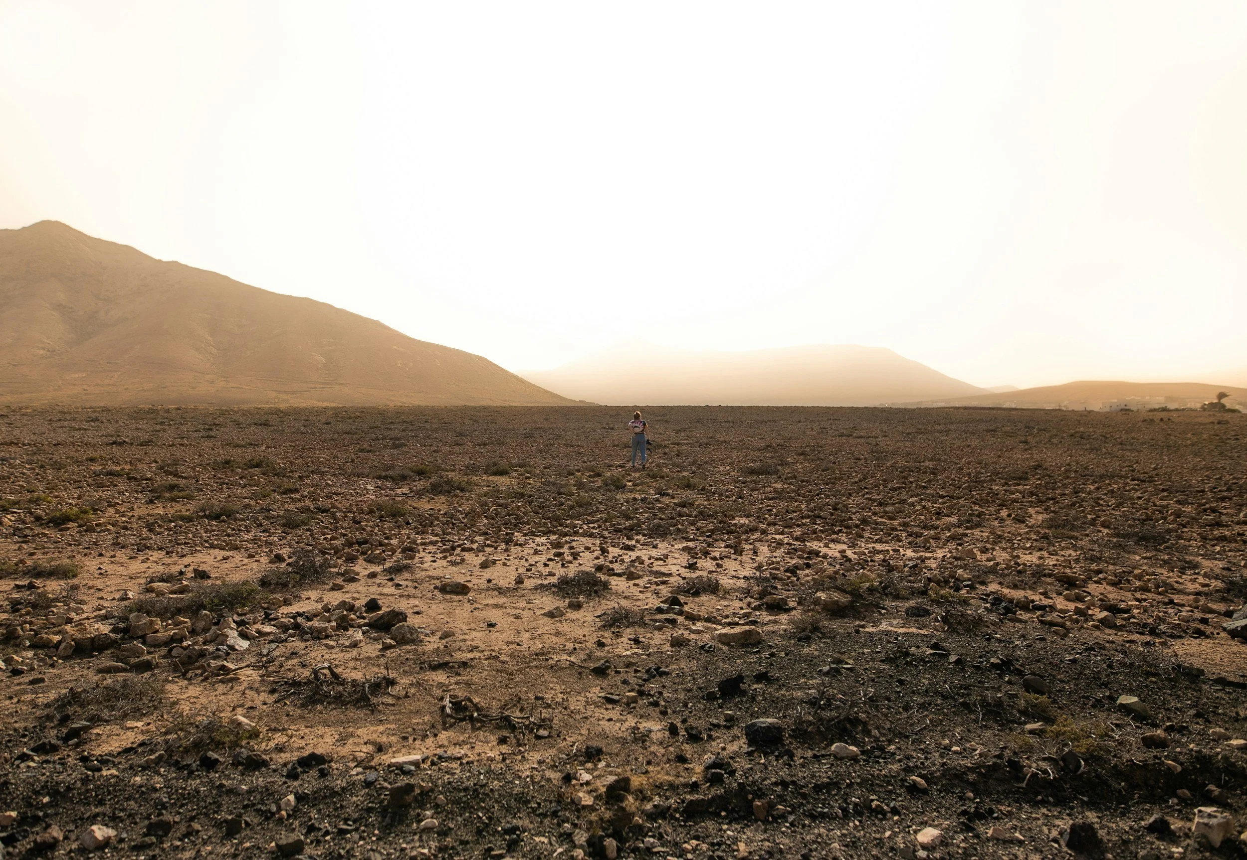 An individual standing in a vast, dry, rocky desert landscape with mountains in the background and a bright, hazy sky.