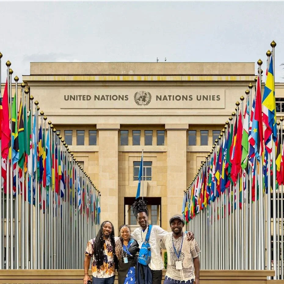 UNITED NATIONS SECURITY COUNCIL ZIMBABWE CAMPAING