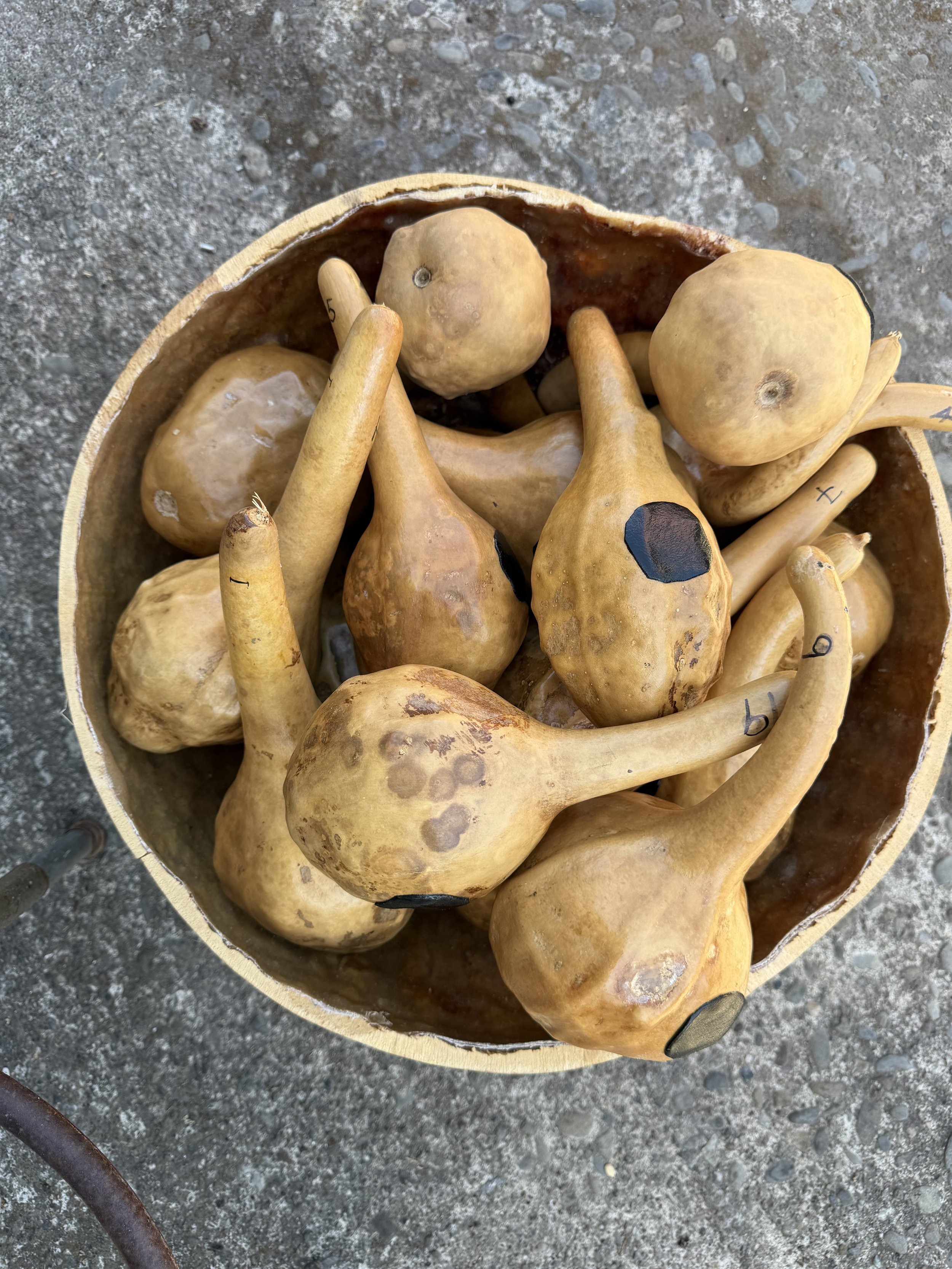 Authentic Zimbabwean Hosho