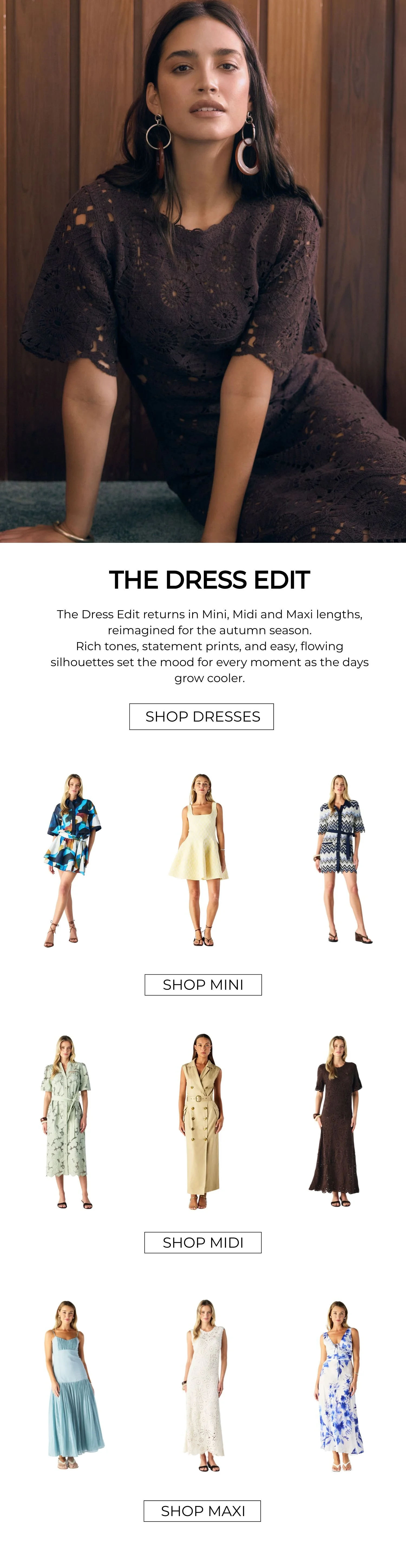 The Dress Edit EDM - Isaac_layout .jpg