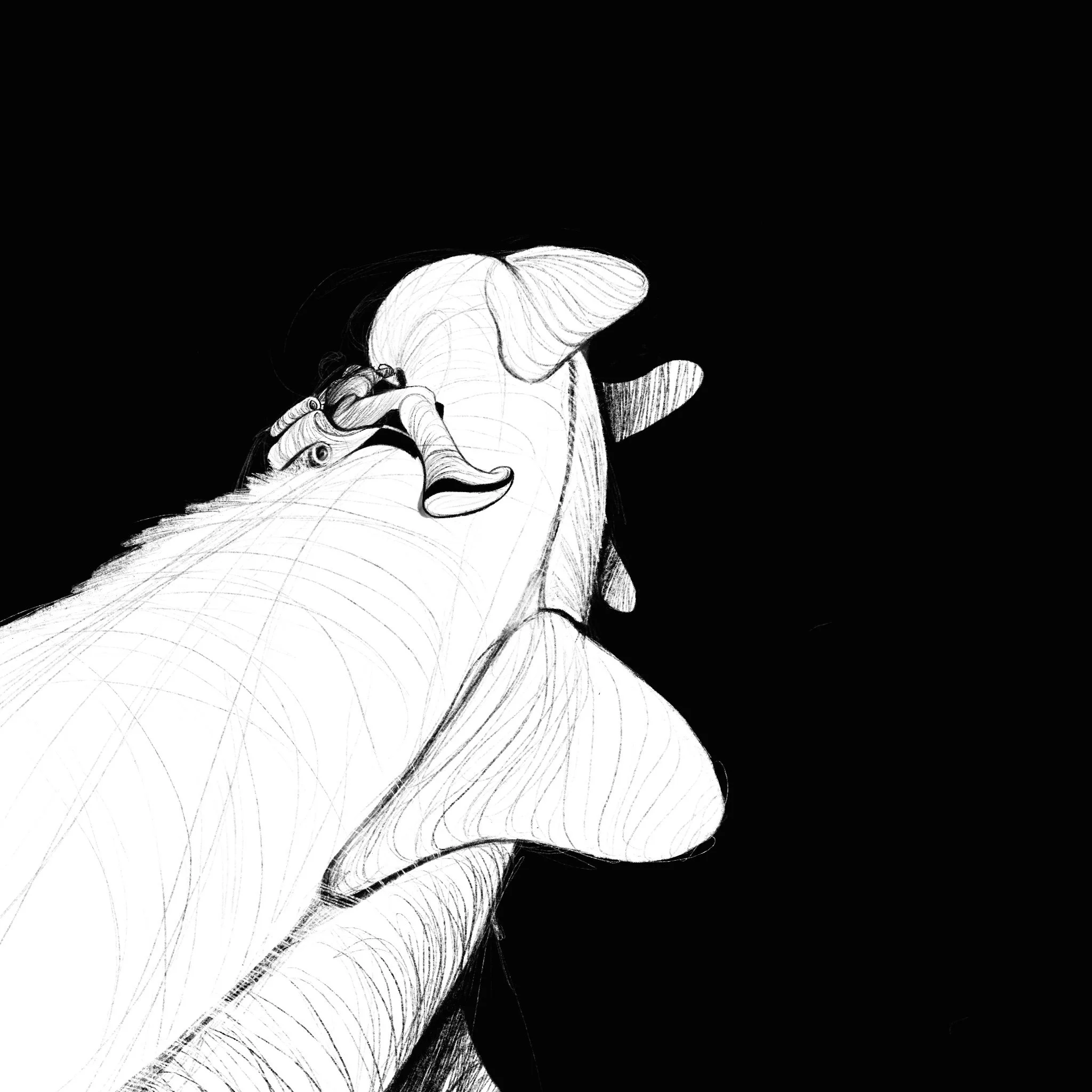 Day 18—SADDLE