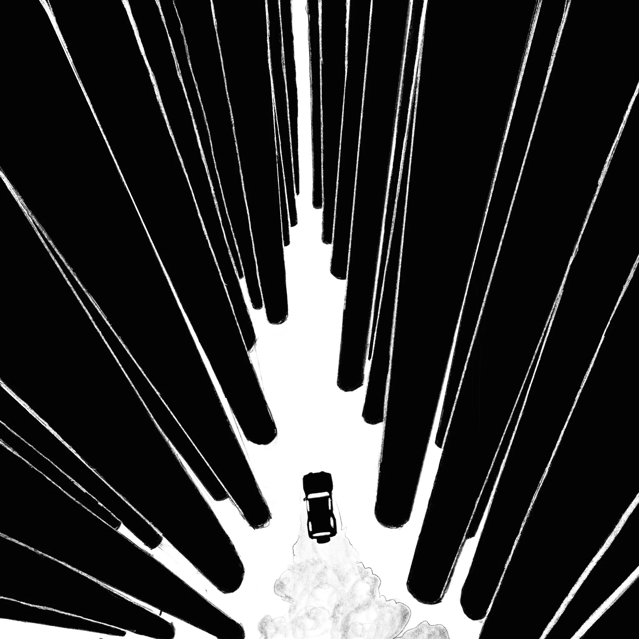 Day 11—WANDER