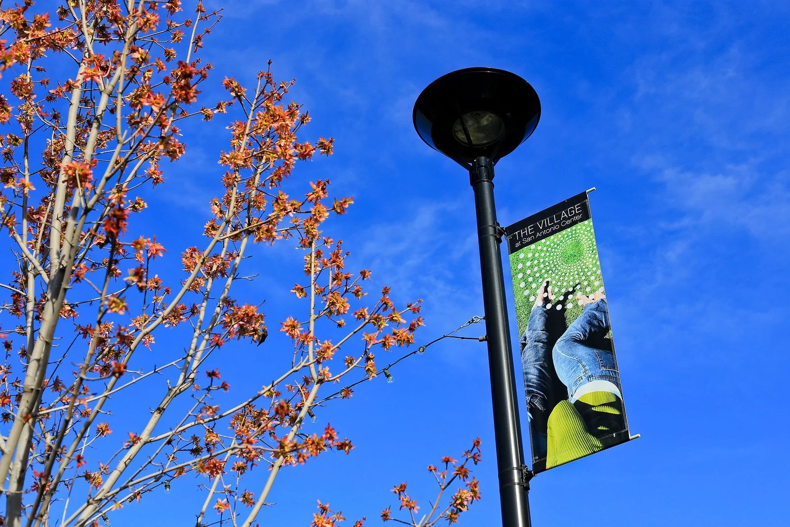A lamp post with a banner for The Village at San Antonio Center, next to a tree with reddish leaves, against a bright blue sky.