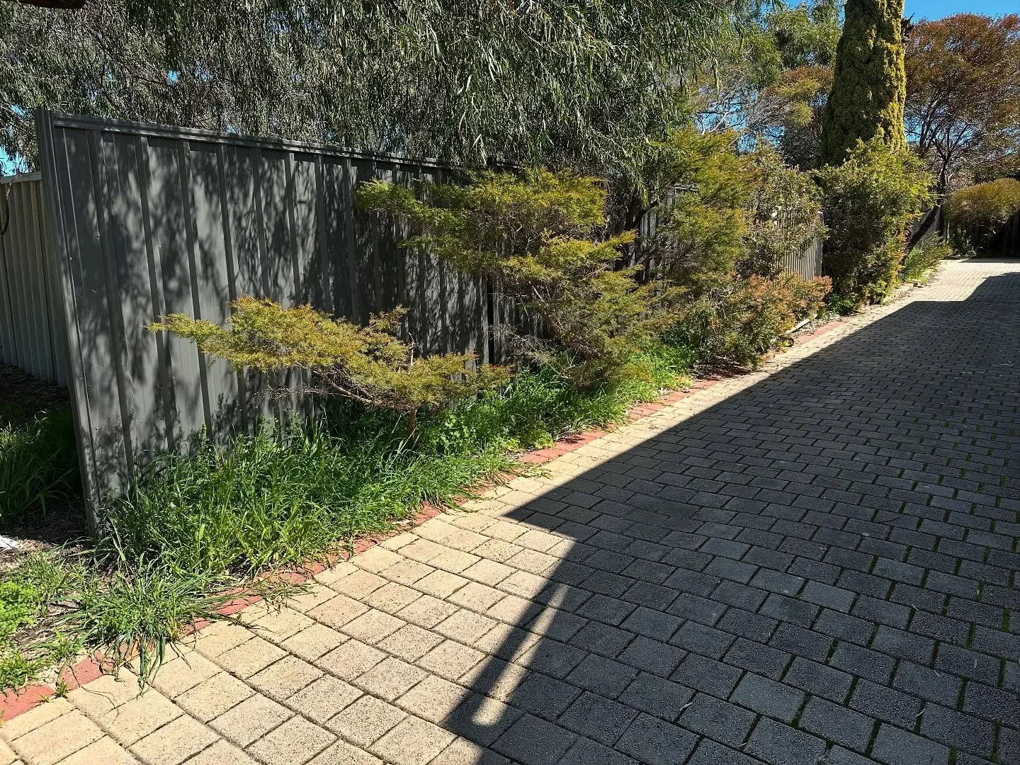 Proof that steam does it better 💨💧 

Before treatment ➡️ Instantly after treatment.

#PerthEcoSteam #PerthLife #PerthLiving #PerthWA #SupportLocalPerth
#Australia #SeeAustralia #LoveAustralia #AustraliaLife #DownUnder
#EcoFriendly #ChemicalFree #Su