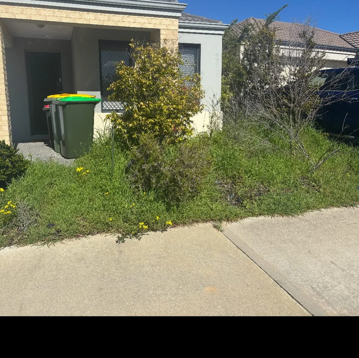 Proof that steam &gt; spray 💧♻️ Nature-friendly weed control

Before and straight after! Fast results 💪🏼