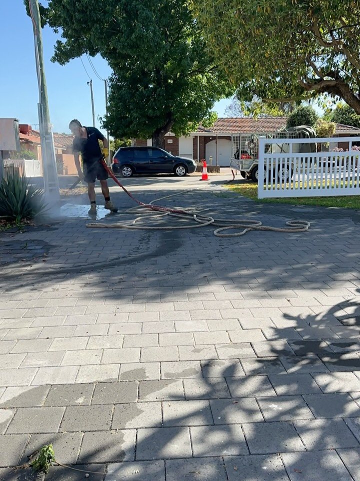 Persistent winter weeds? Steam them away &mdash; chemical-free