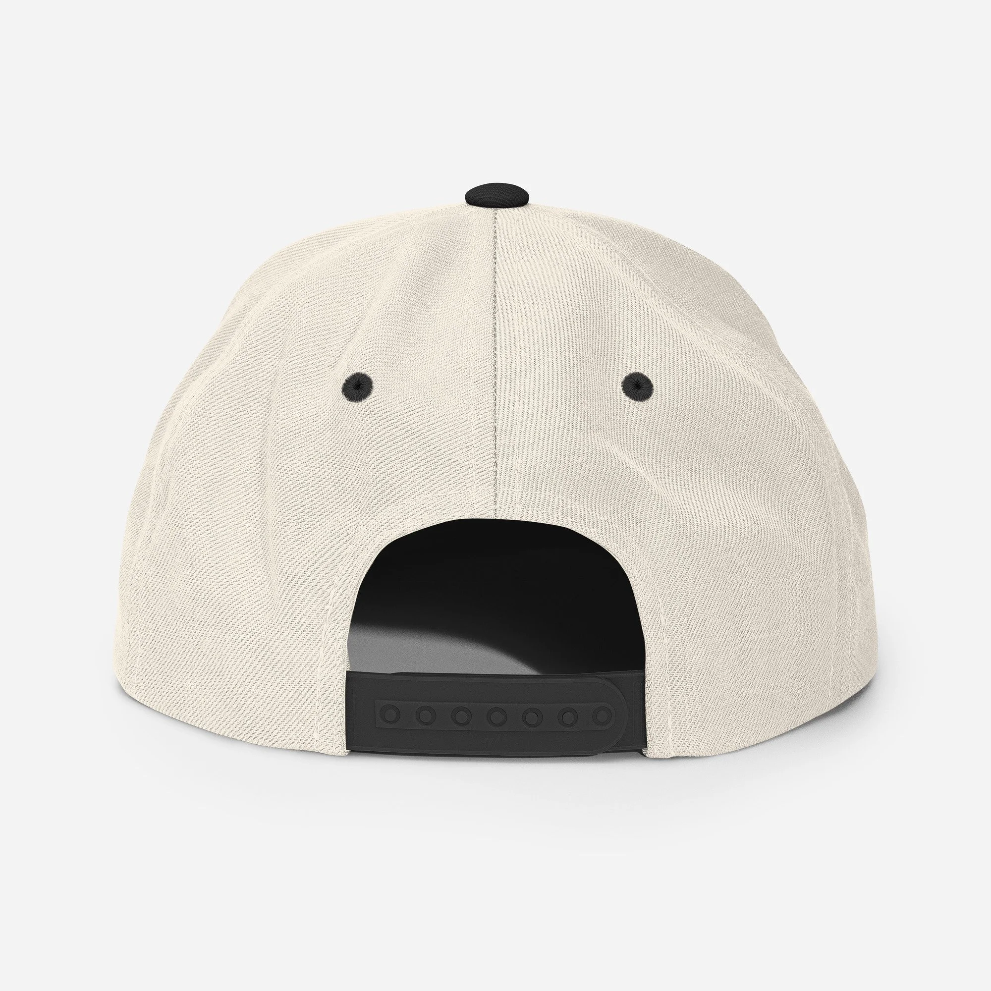 Rad Dad Snapback Hat_natural-black-back.jpg