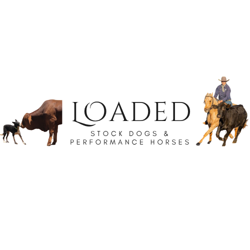 Logo of Loaded Stock Dogs and Performance Horses.