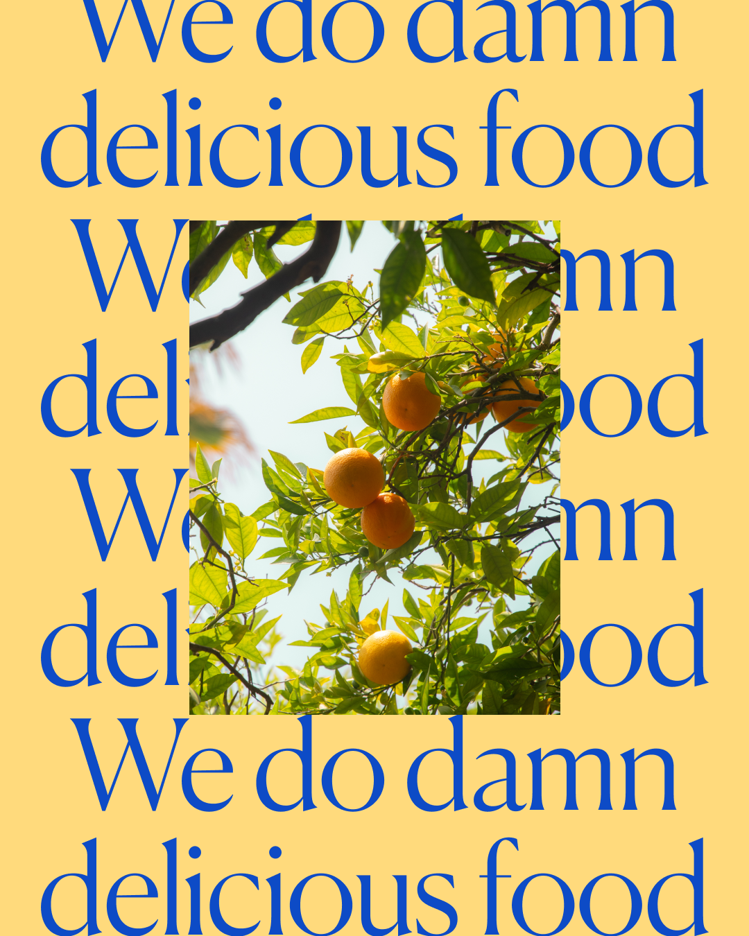 A photograph of an orange tree with ripe oranges hanging from its branches, surrounded by green leaves, against a light sky background.