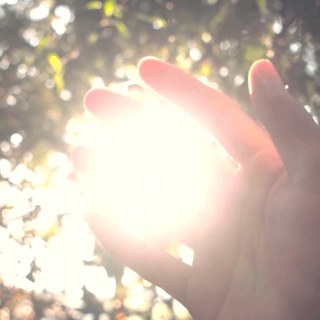 A hand holding the sun with sunlight streaming through trees in the background.