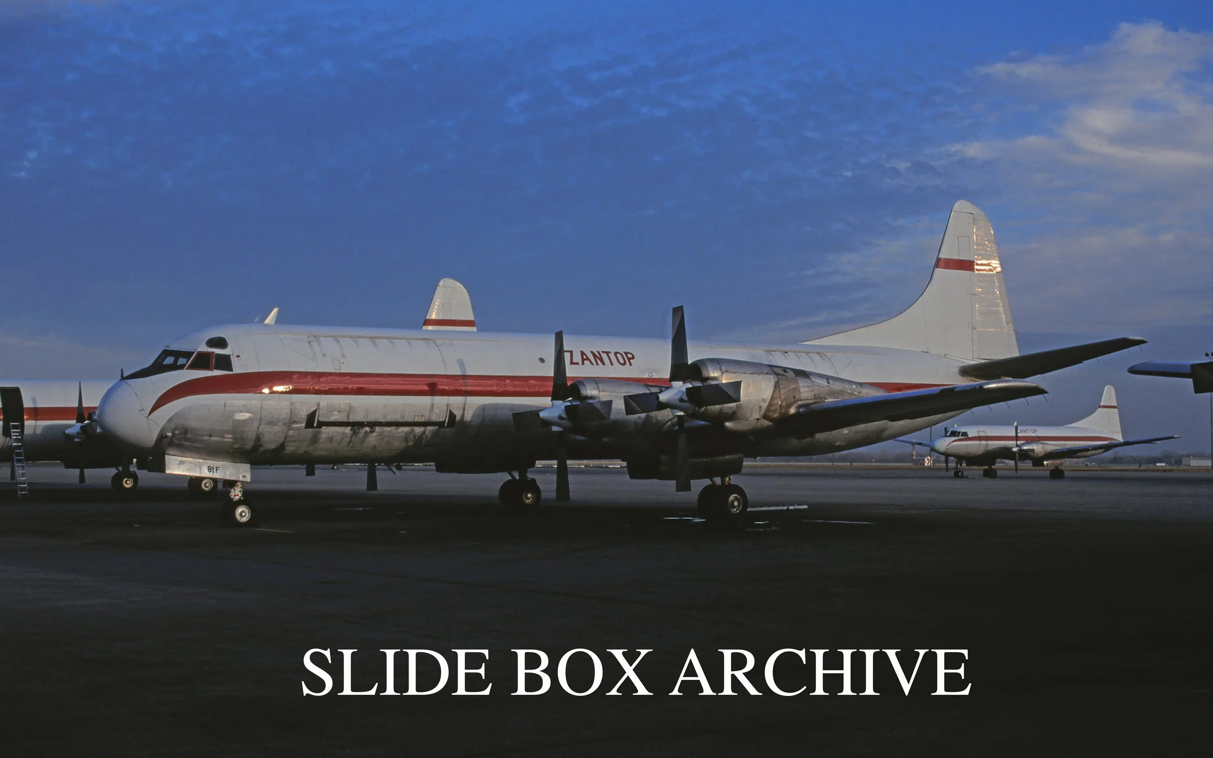 N281F-EDIT-HEADER--2.jpg