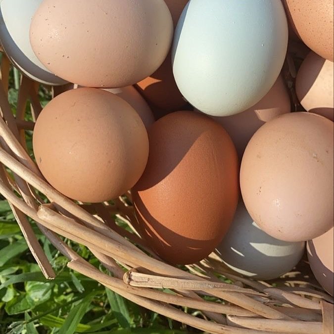 There’s a lot of misinformation out there, so let’s clear a few things up:
1οΈβ£ Eggs aren’t bad for your heart. Despite the cholesterol, eggs don’t significantly raise blood cholesterol for most people and are packed with prote