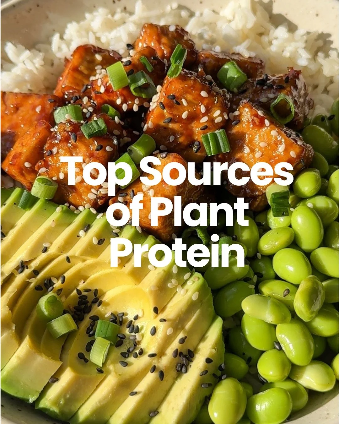 🌱💪 Plant-Based Protein Made Simple

Looking to boost your protein on a plant-based diet? From beans to grains, nuts to soy &mdash; there are plenty of delicious options to keep your meals balanced and satisfying.

This guide shows the estimated pro
