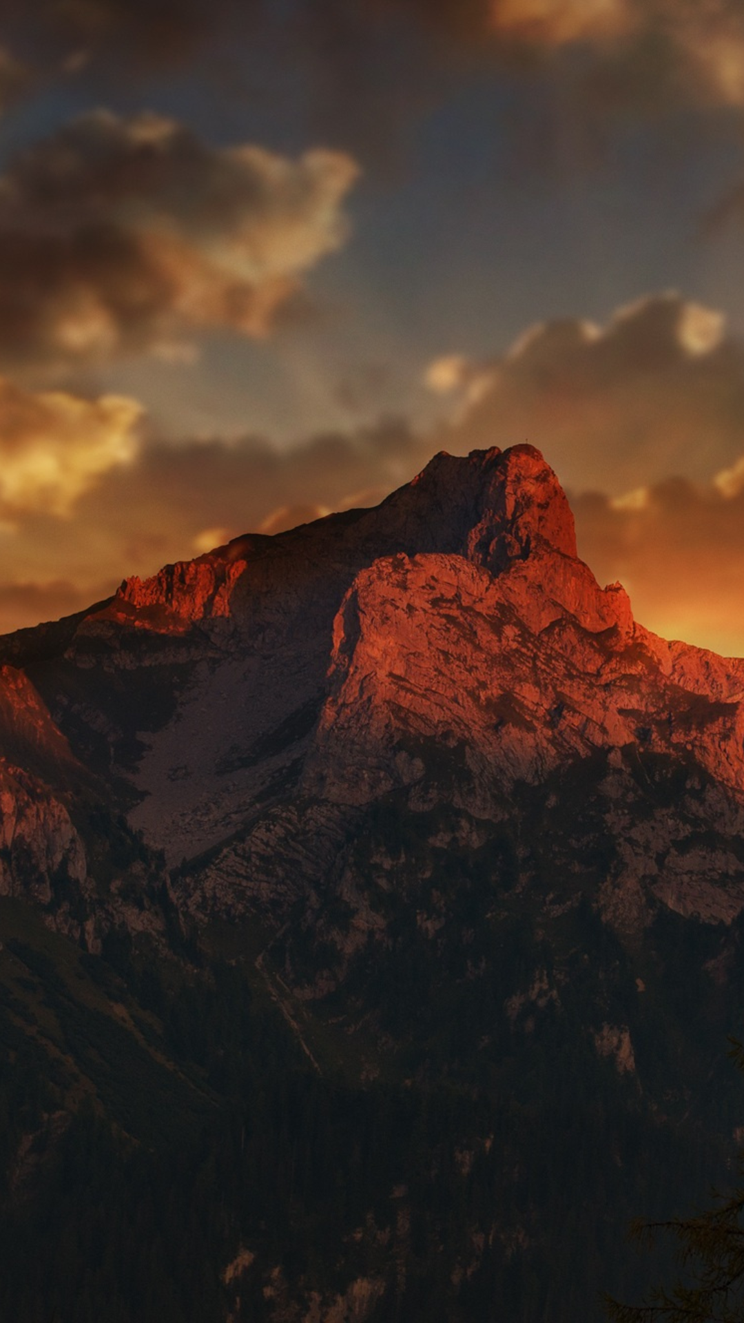 Canva Design (1).png