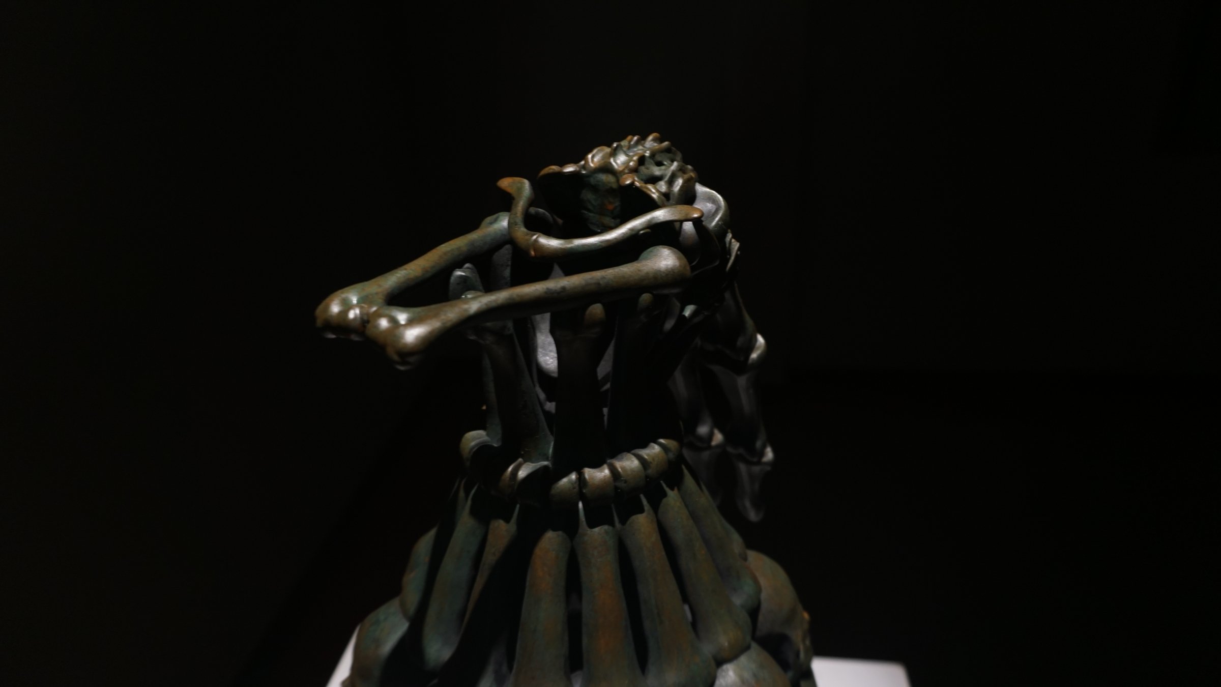 DSC08095.jpg