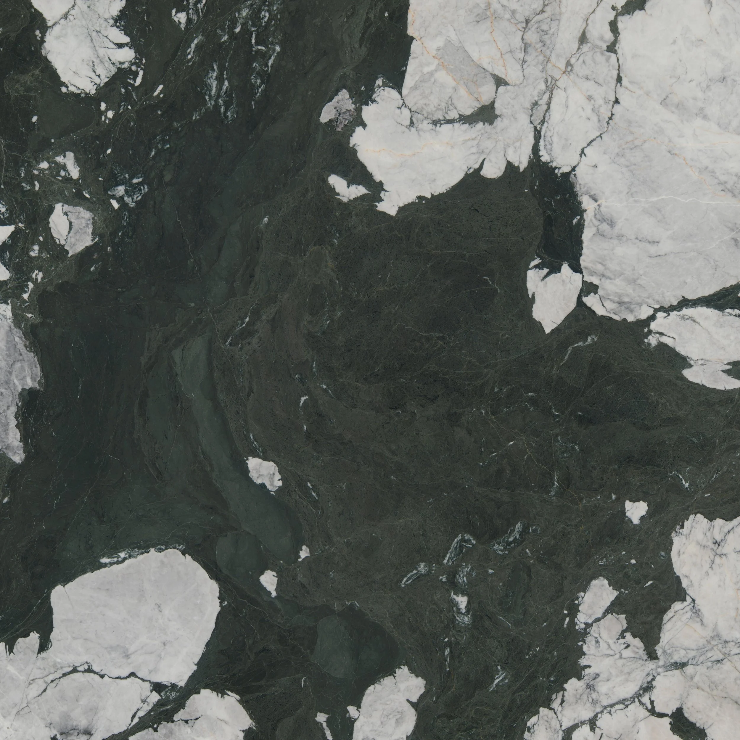 Panda Green Quartzite