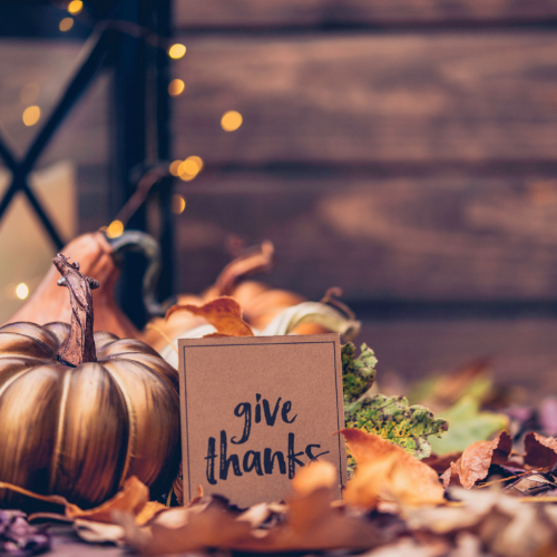 No School: U.S. Thanksgiving