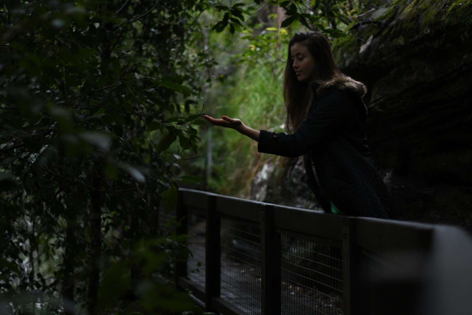 Highly qualified leading naturopath and nurse Sydney Australia Online