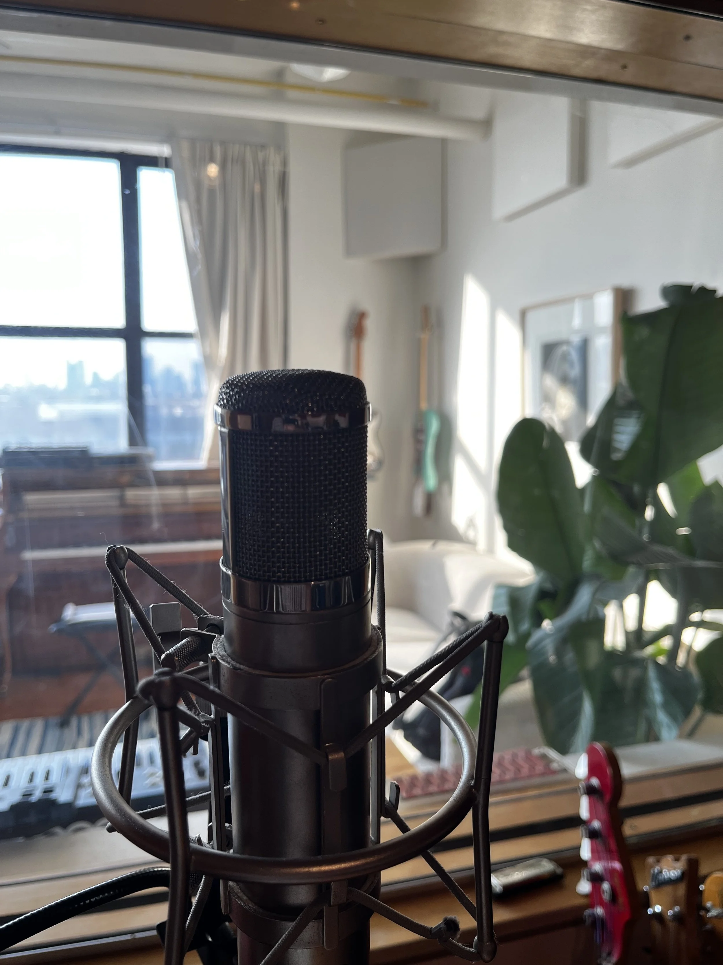 Peluso P12 Multi Pattern Tube LDC