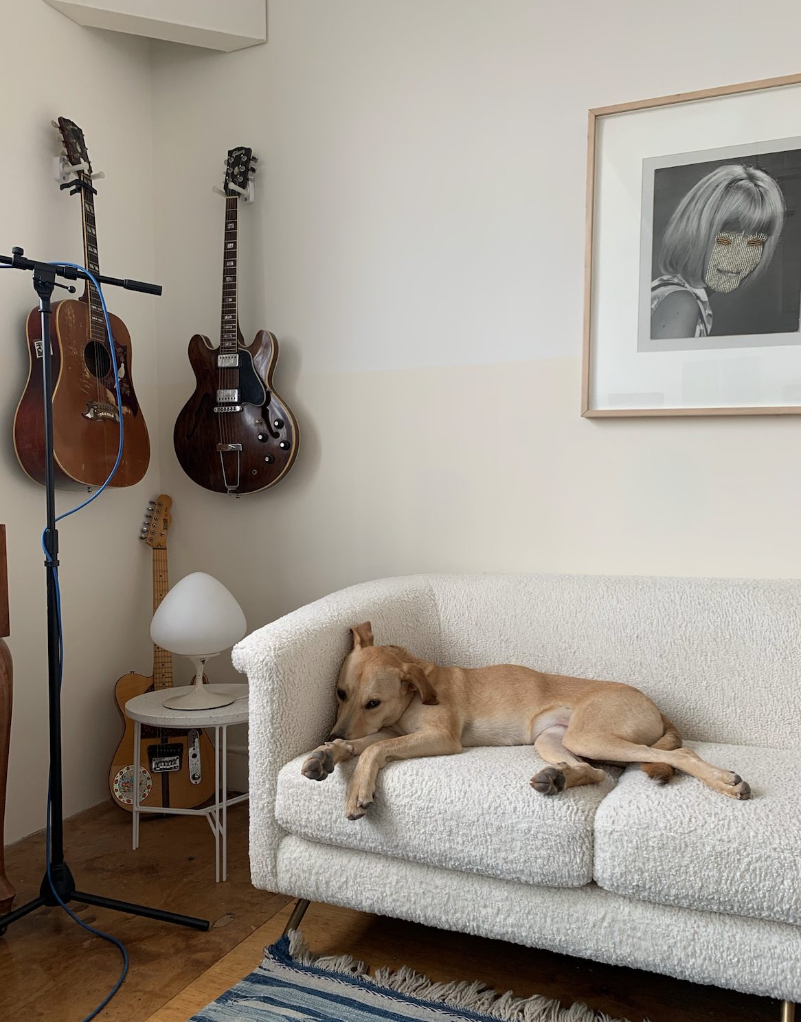 Dog