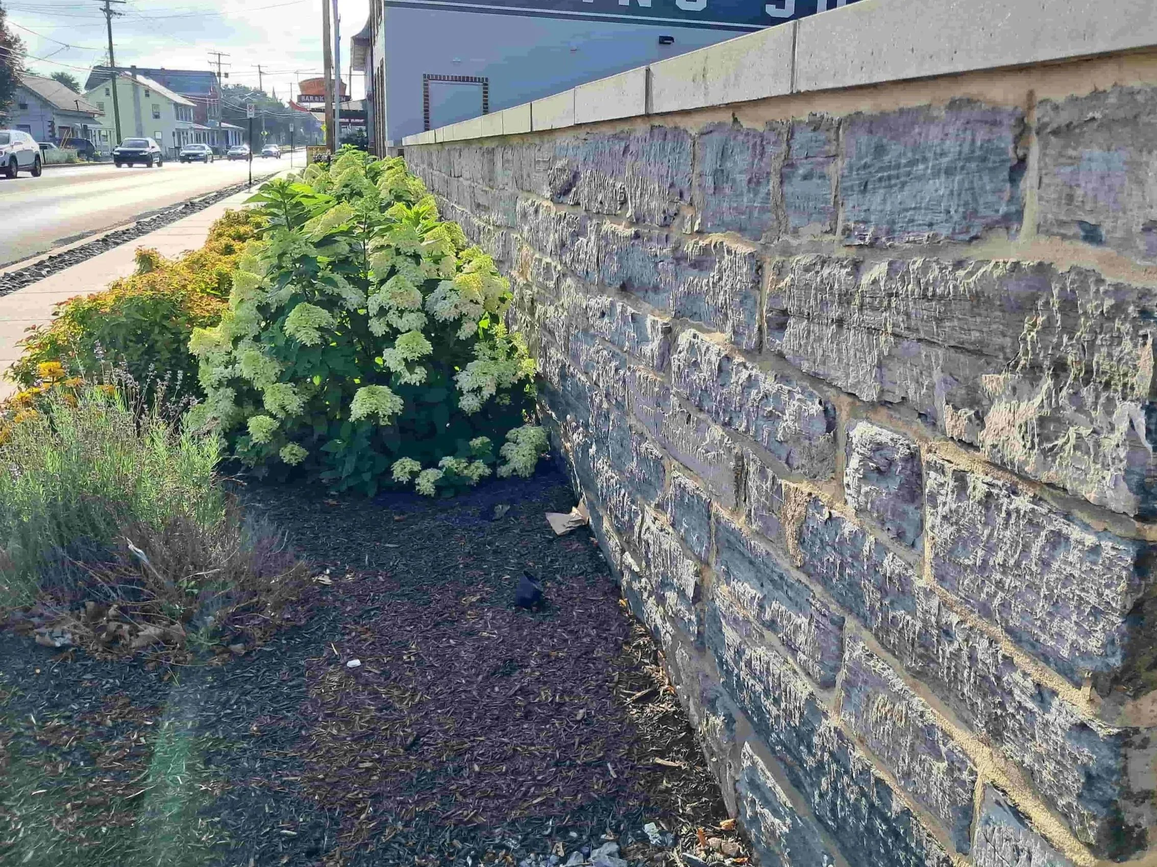 Limestone Garden wall