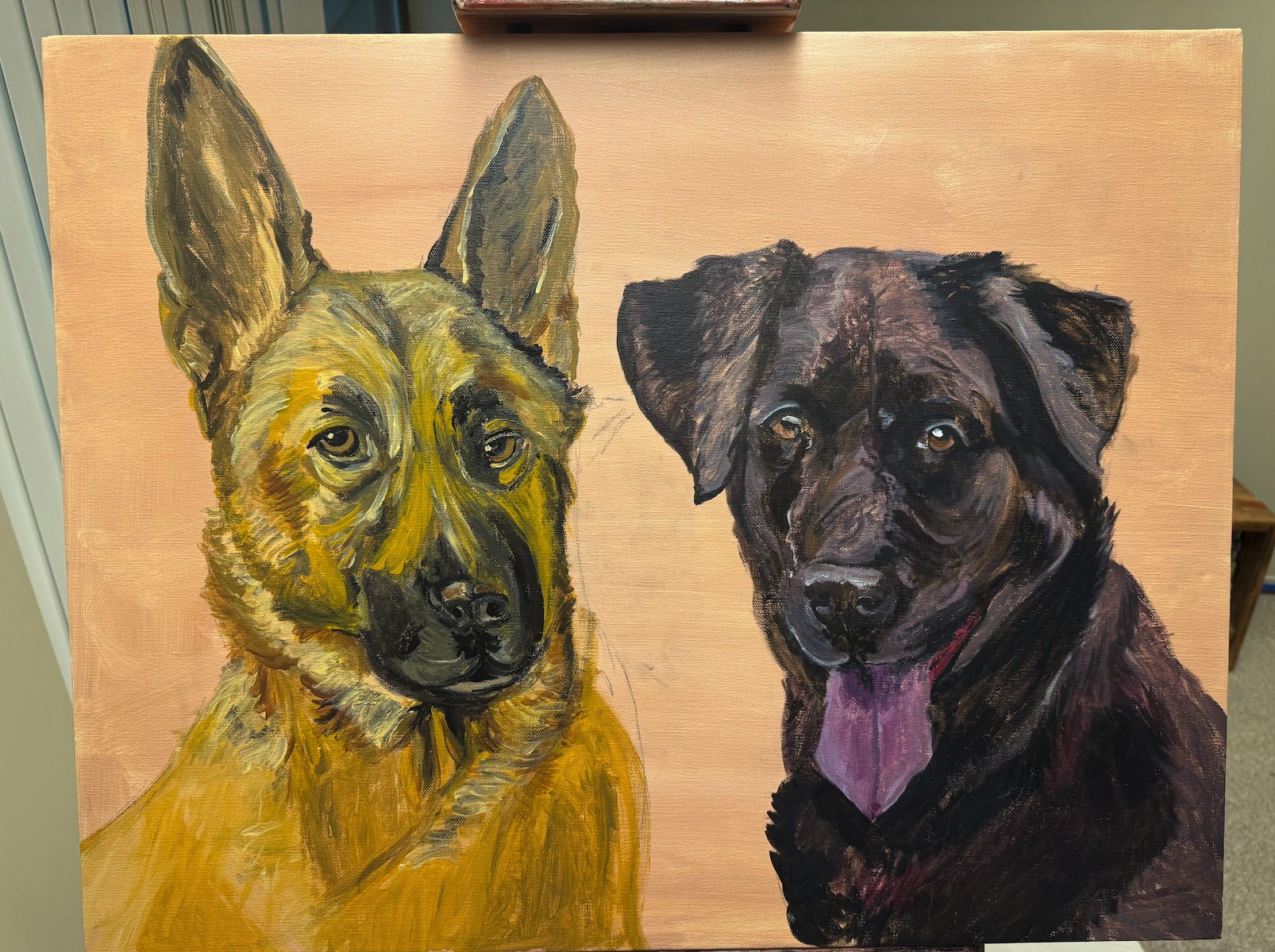 Color is down on both dogs... but Bingo is looking funny....June 10, 2025