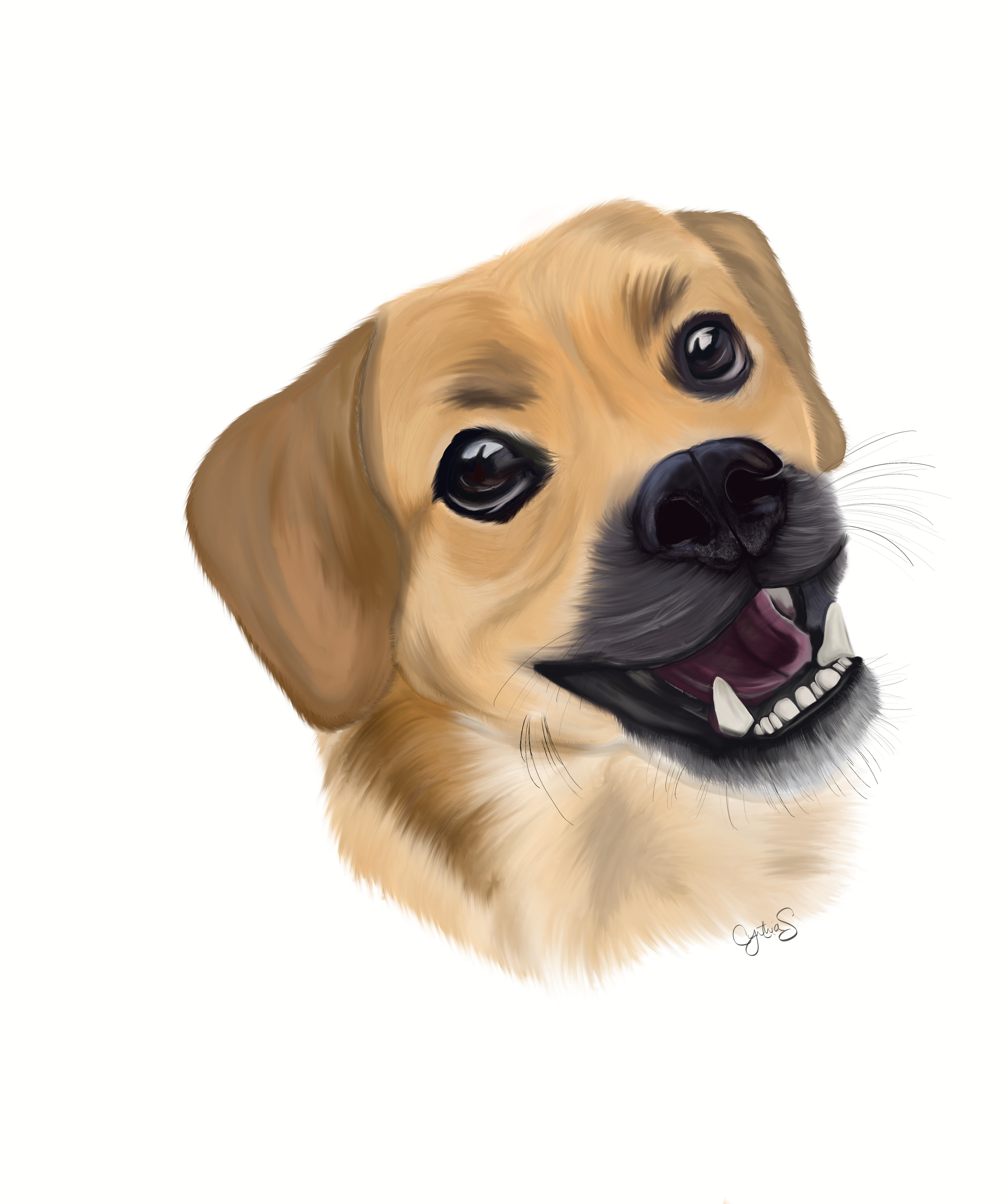 King the Beagle, Made in May 2021.