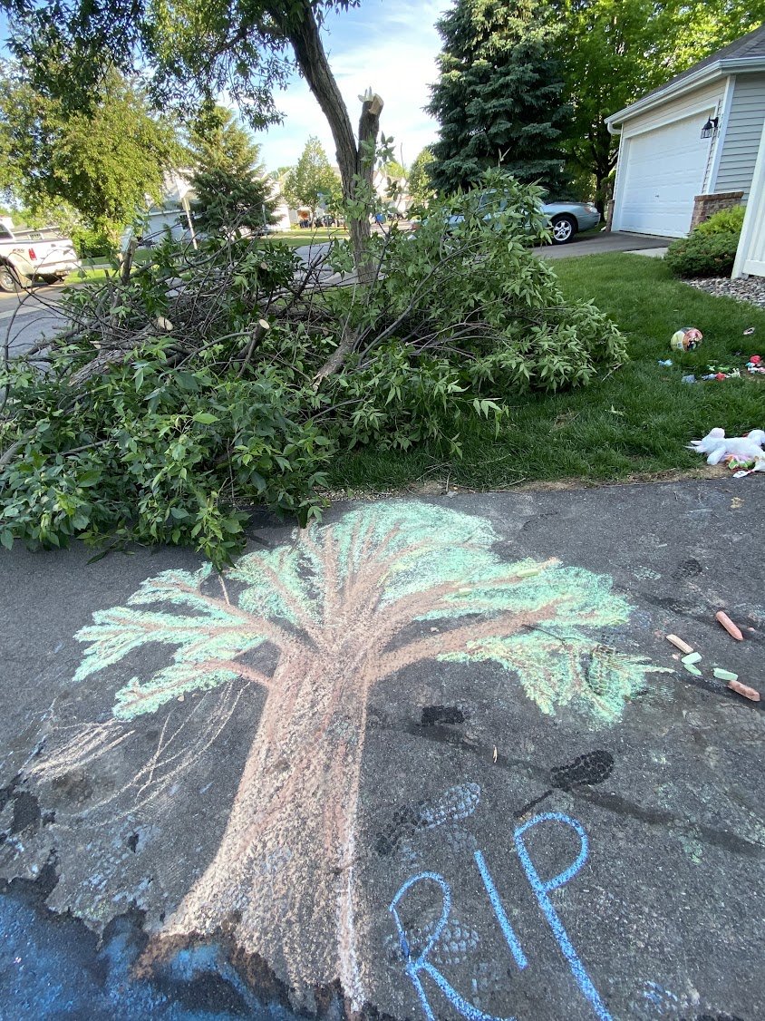 RIP Tree