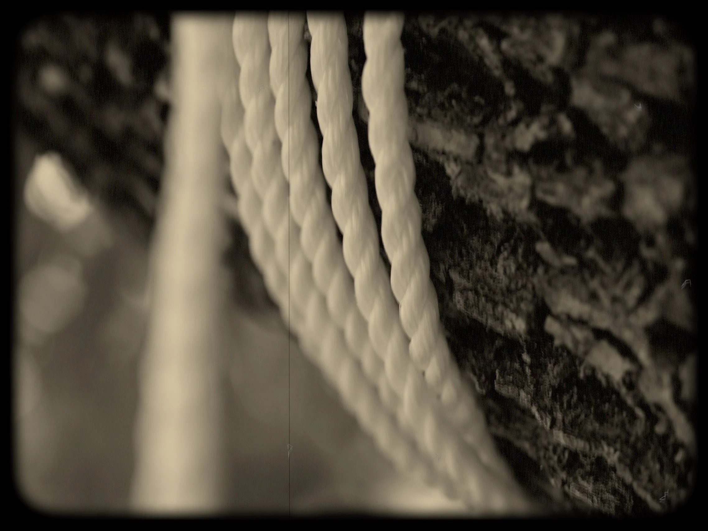 Image 7-5-25 at 2.12 AM (1).jpg