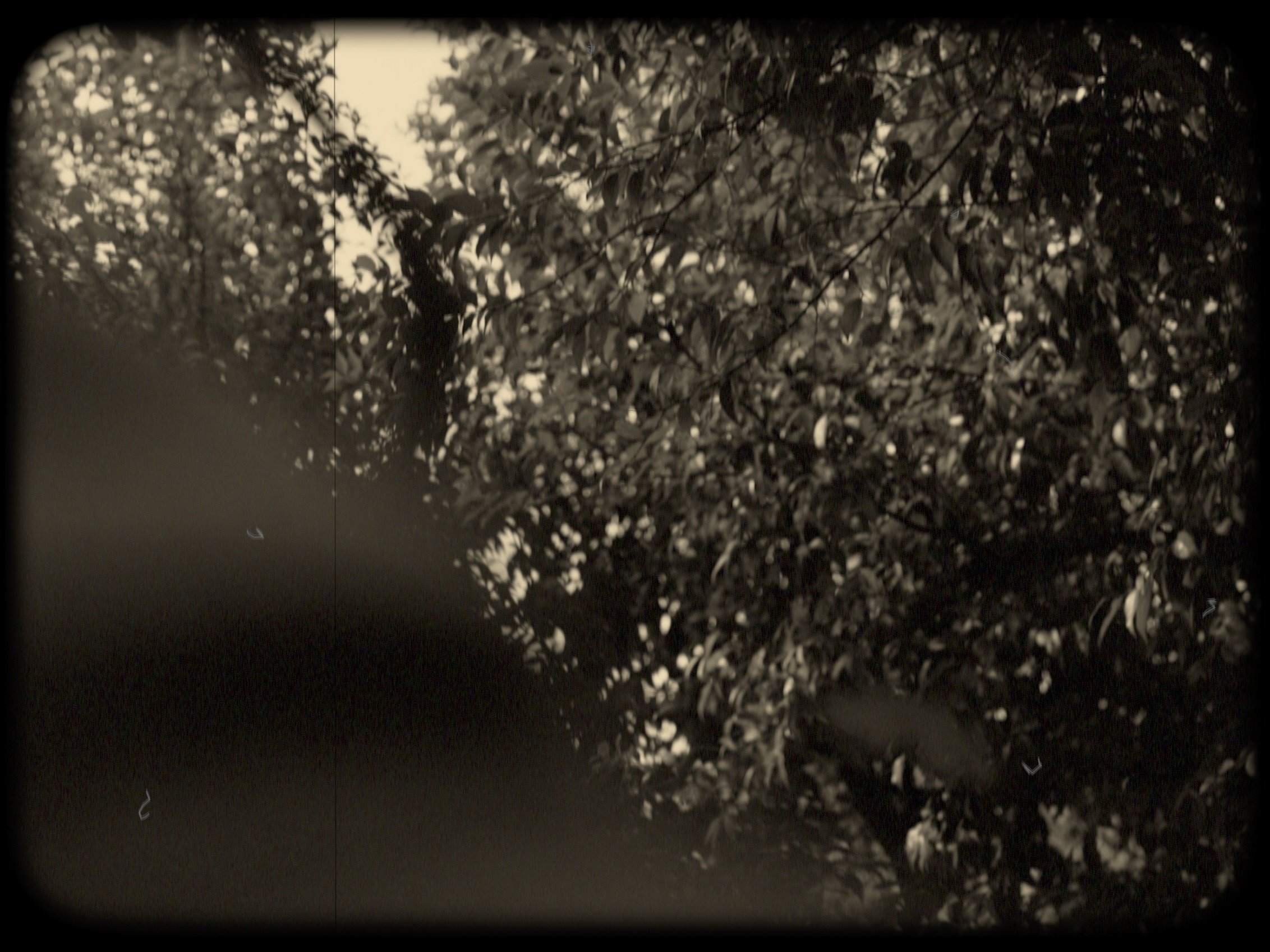 Image 7-5-25 at 2.12 AM.jpg