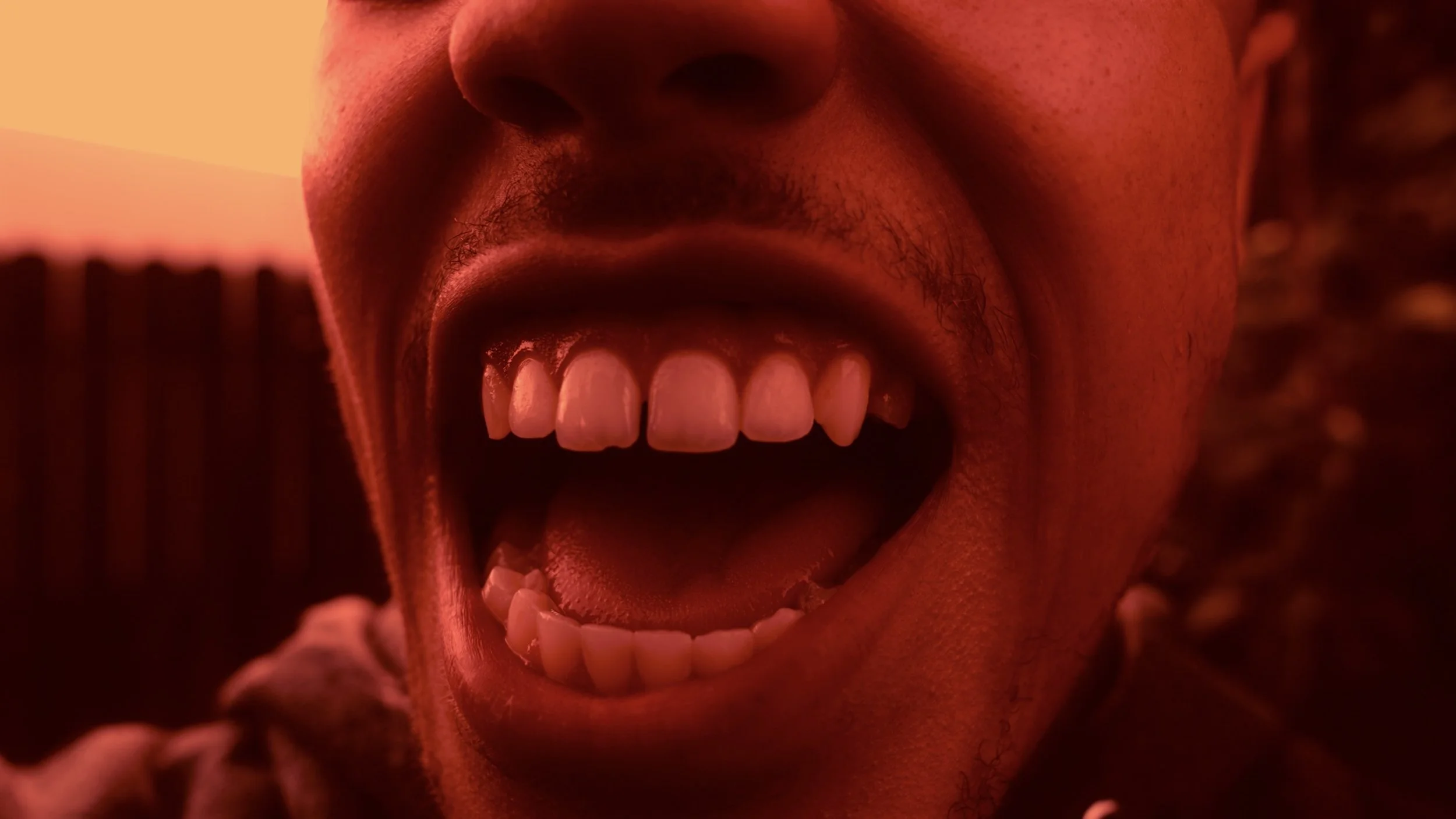 Image 7-5-25 at 12.20 AM (2).jpg