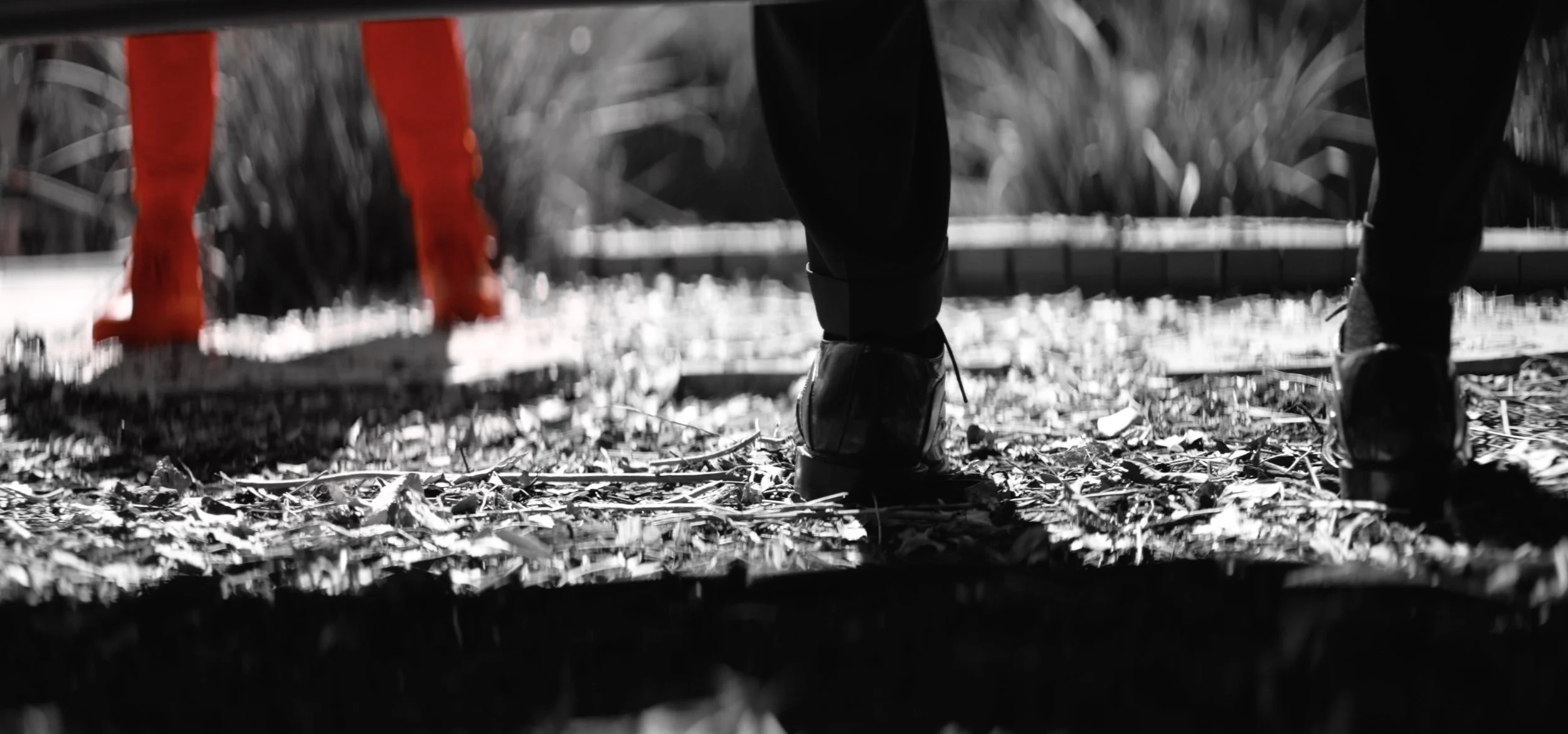 Image 7-5-25 at 2.17 AM.jpg