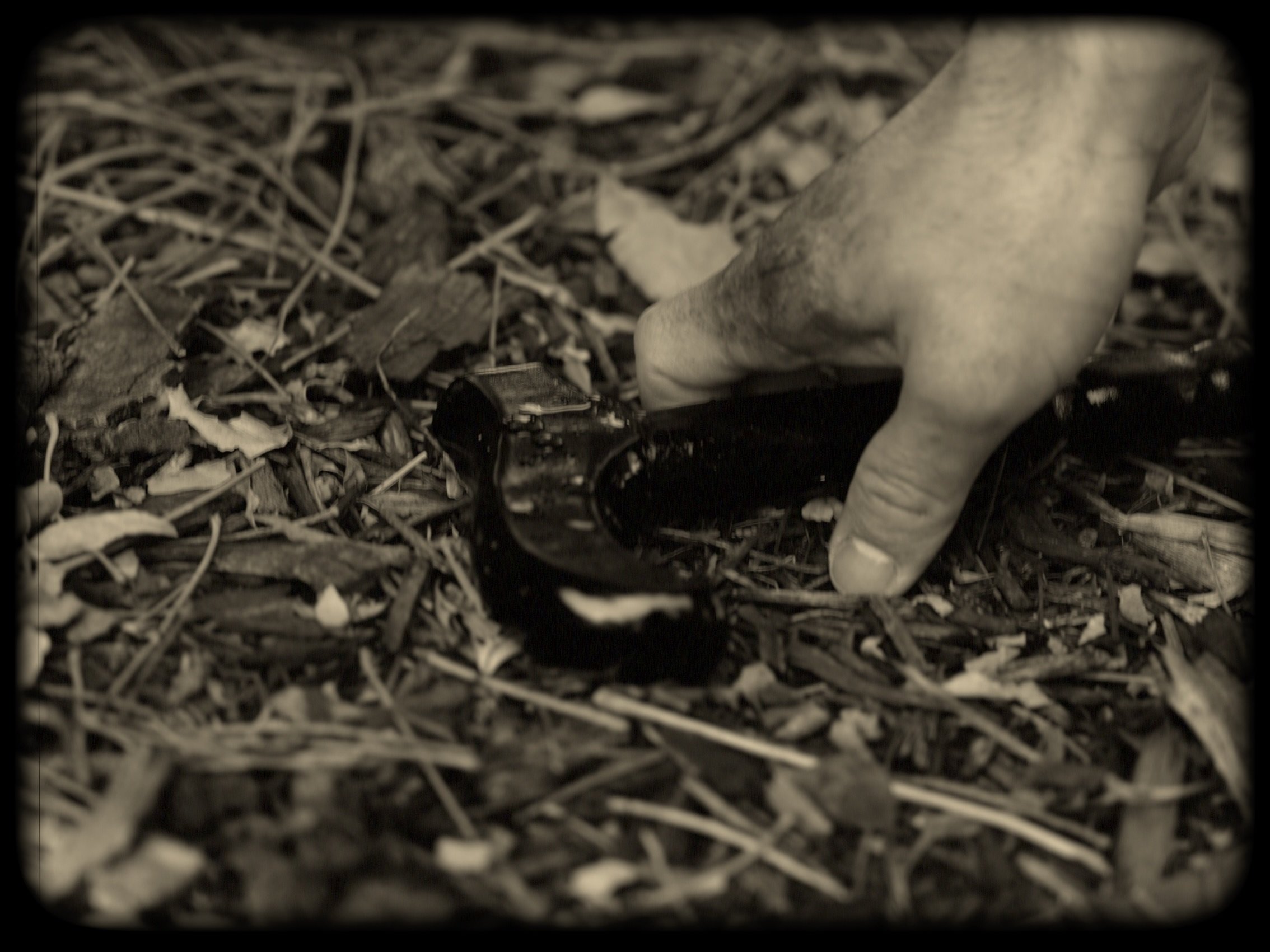 Image 7-5-25 at 2.12 AM (2).jpg