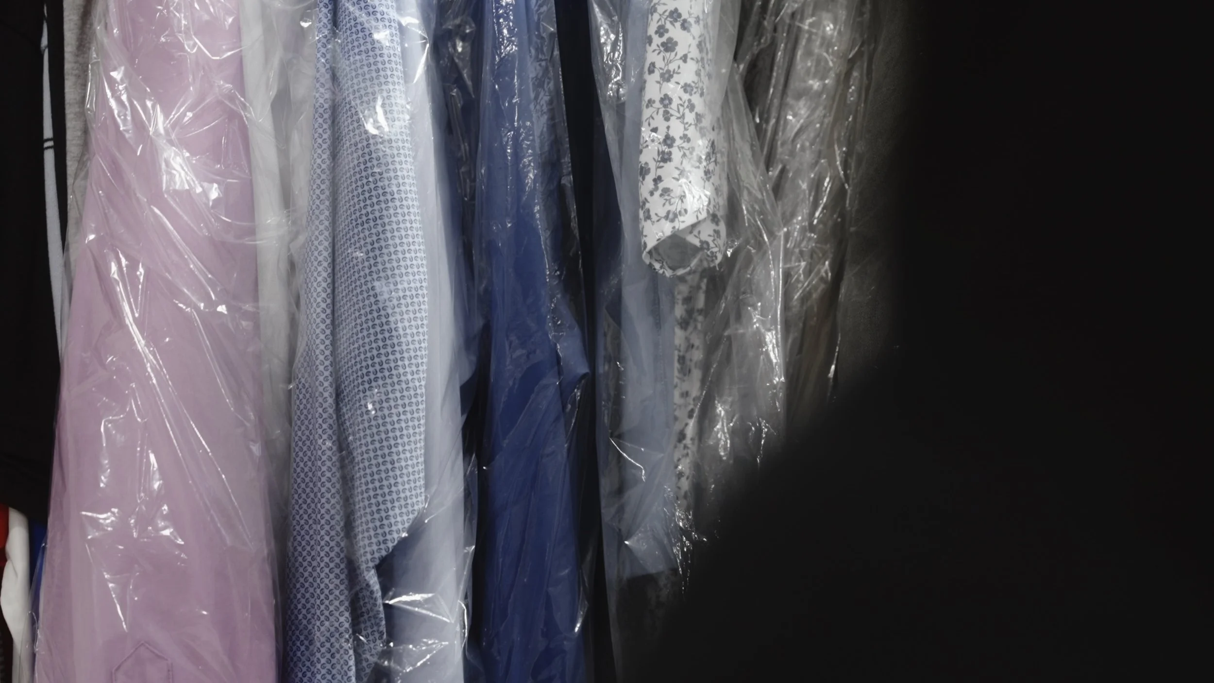 Image 7-5-25 at 1.21 AM (1).jpg