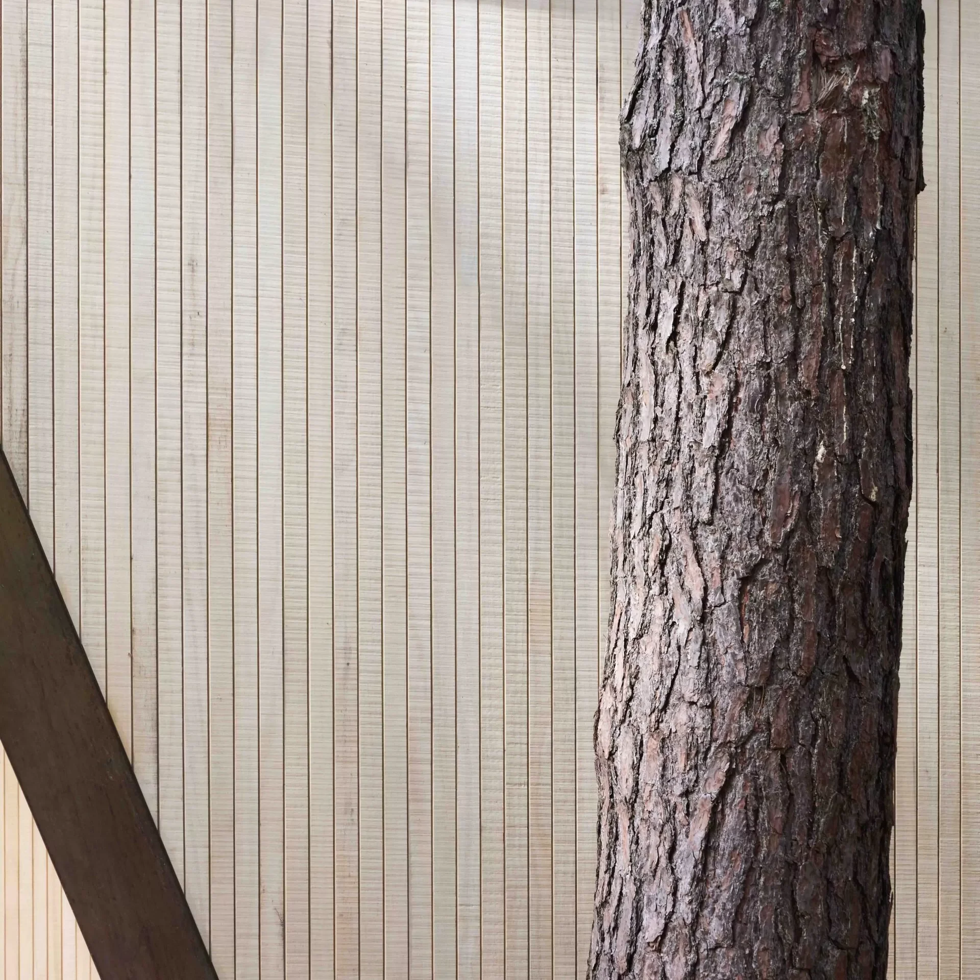 Your Guide to Wall Cladding Choices & Costs in New Zealand 2025