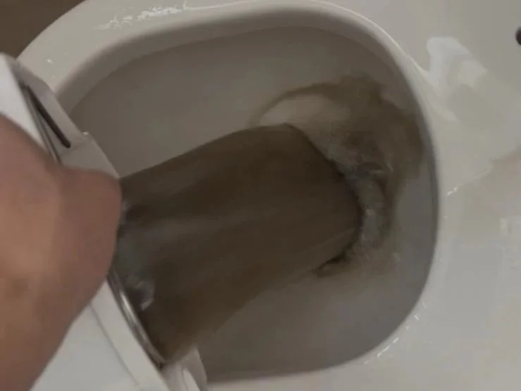 Someone is flushing a large object in a toilet.