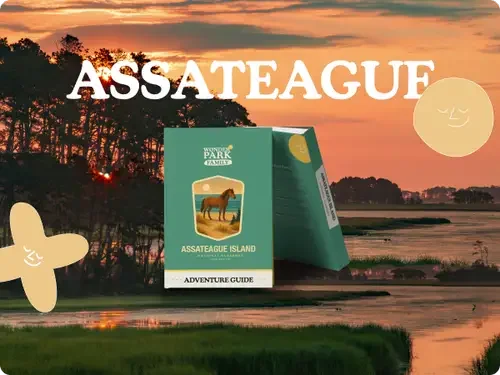 Assateague Island