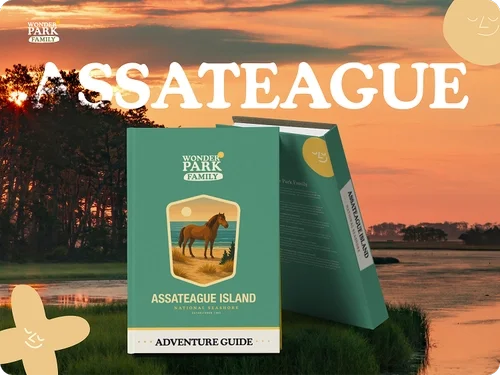 Assateague Island