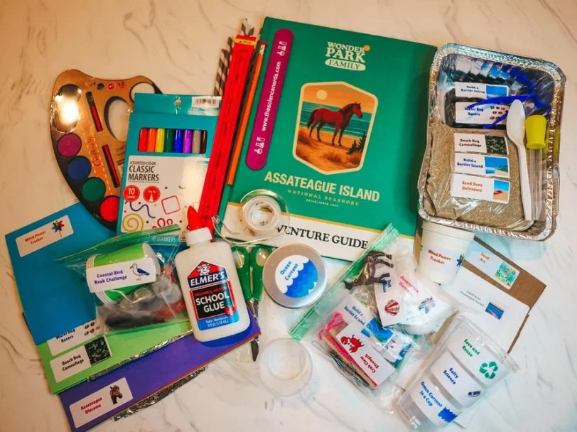 Assateague STEM Kit