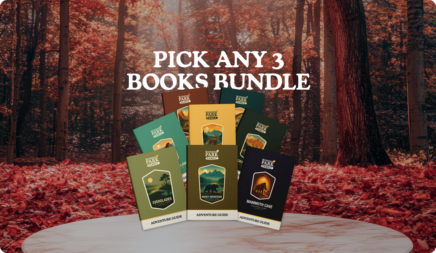 3 book bundle (1).png