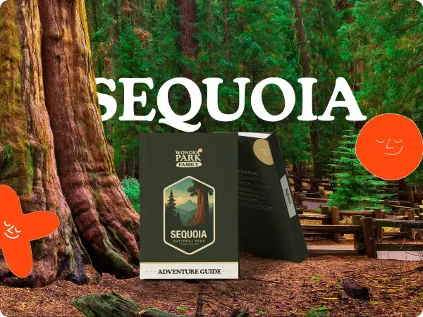Sequoia