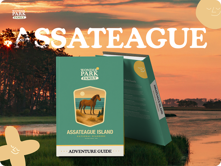 An adventure guidebook for Assateague Island, part of the Wonder Park Family series, featuring a horseshoe crab illustration, set against a sunset over a marshy landscape with trees and a river.
