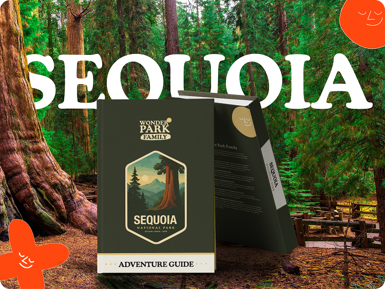 Sequoia