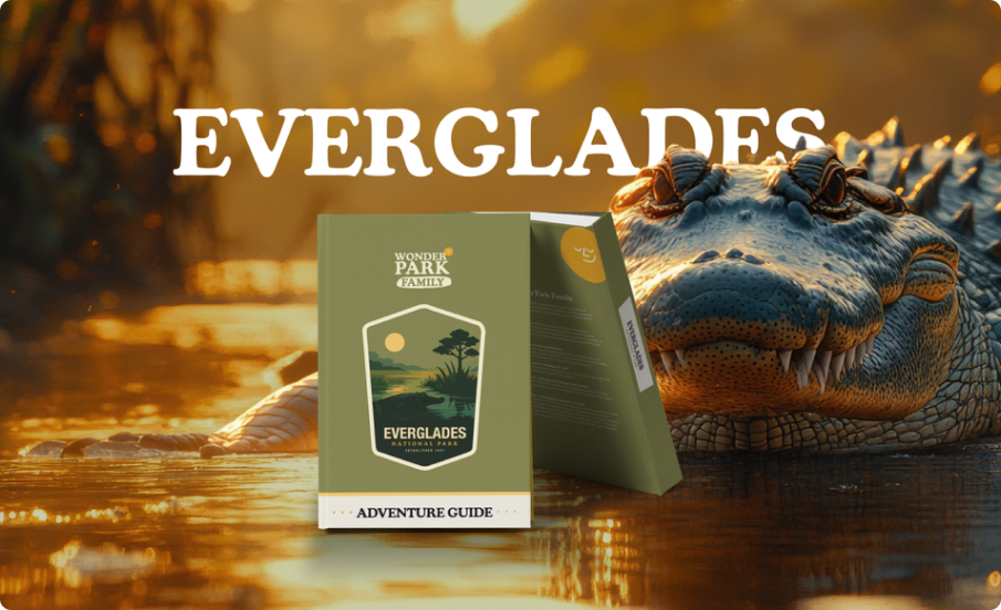 Everglades - 1.png