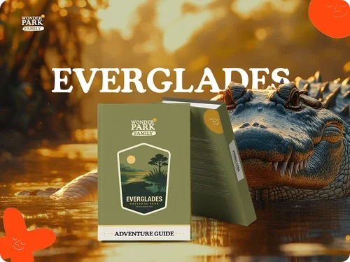 Everglades+6+(1) (1).webp