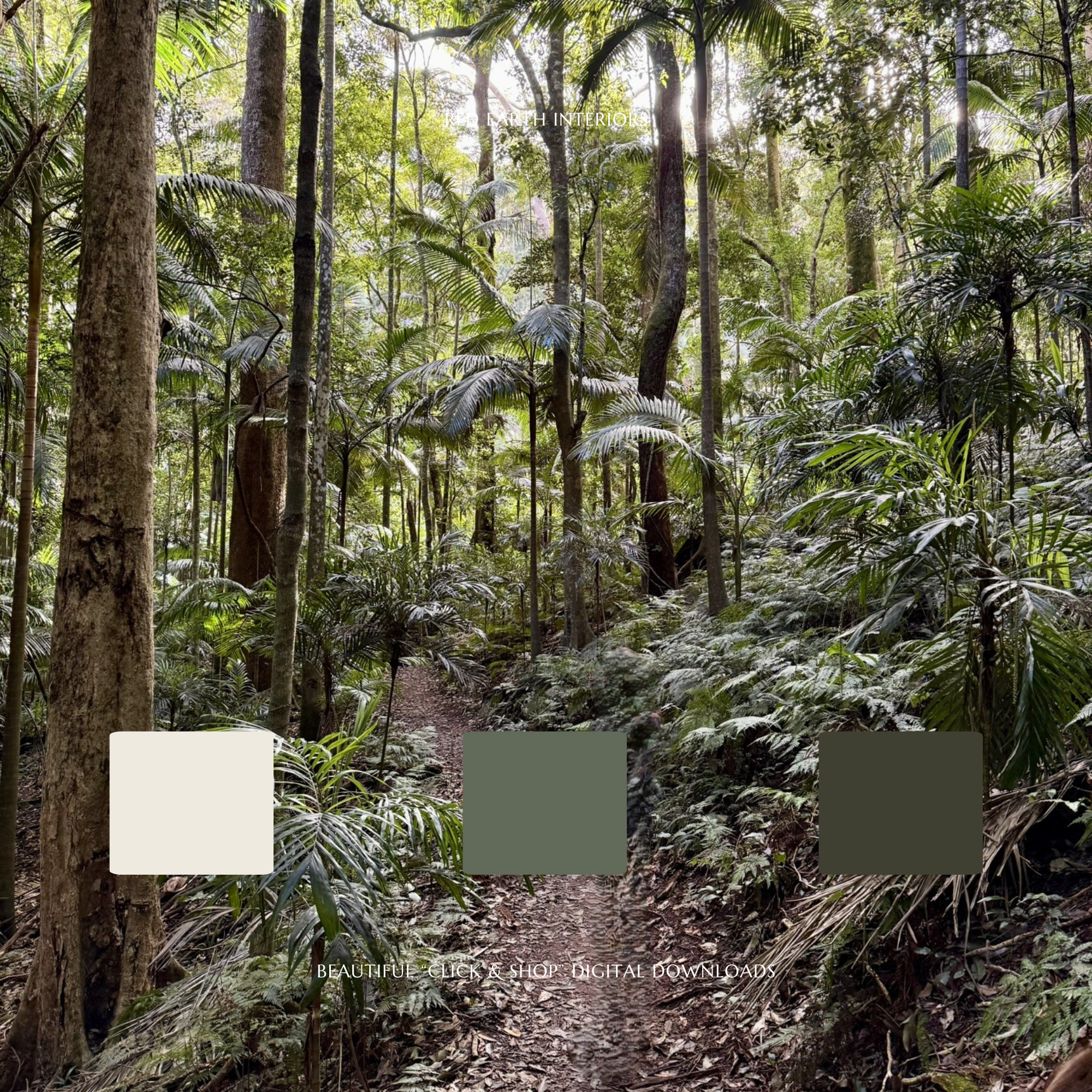 Red Earth Interiors - Paint 7.png