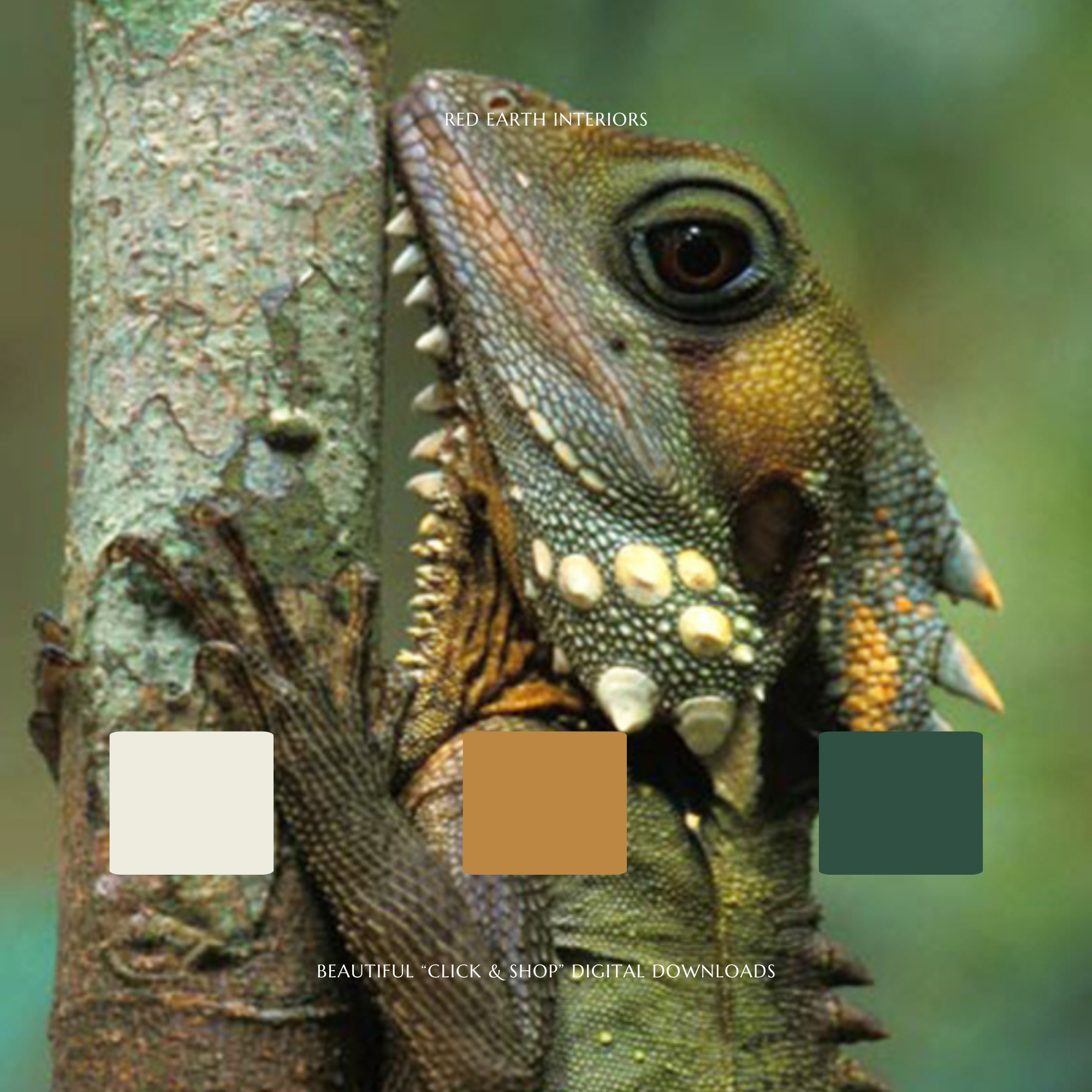 Red Earth Interiors - Thumbnail 3.png